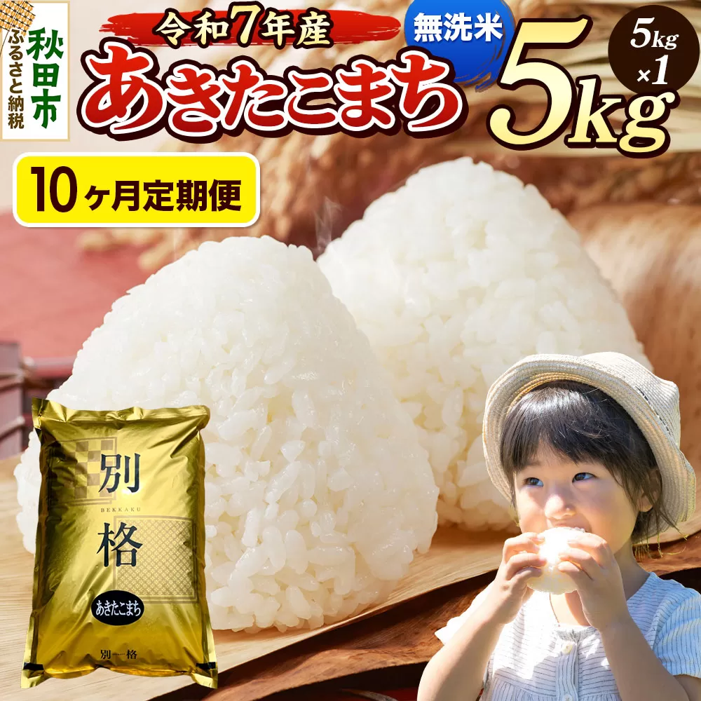 《令和7年産》《定期便10ヶ月》 米 あきたこまち 5kg 【無洗米】 秋田県産 秋田県秋田市