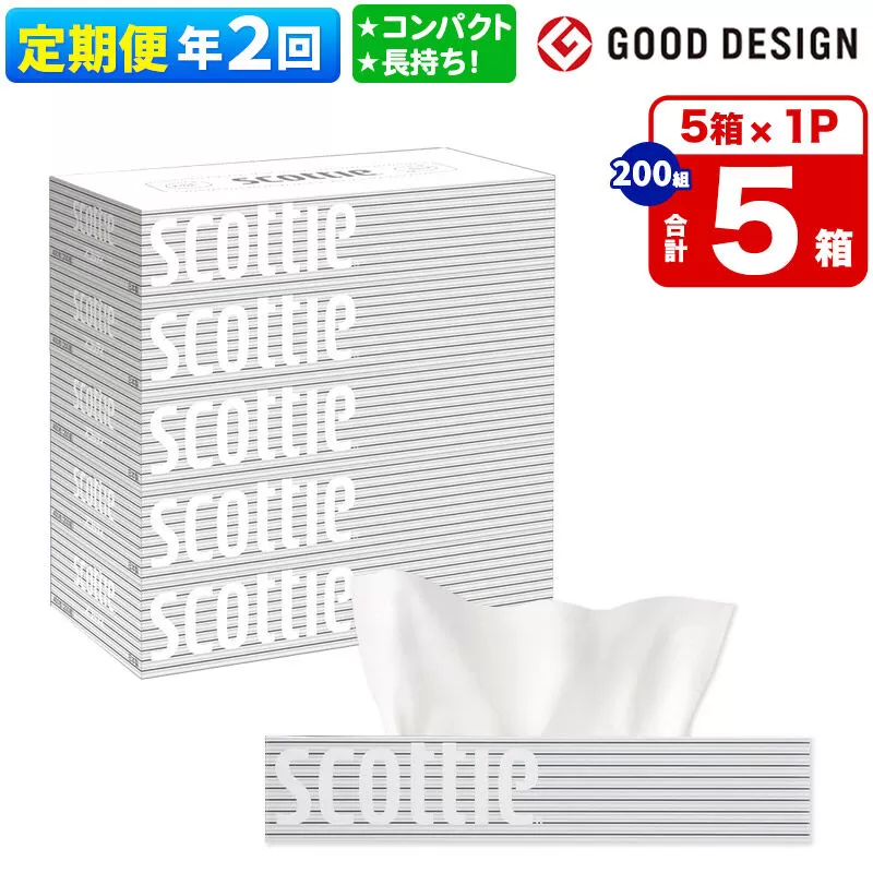 《6ヶ月ごとに2回お届け》定期便 ティッシュペーパー スコッティ ティシュー 5箱×1パック 秋田市オリジナル [ティッシュ ボックスティッシュ] 秋田県秋田市