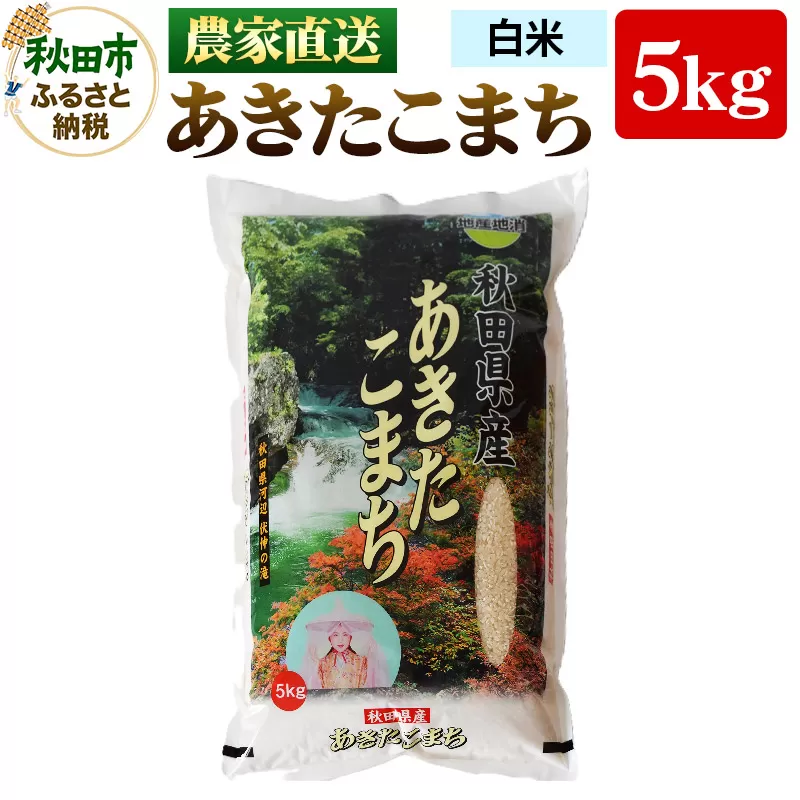農家直送 あきたこまち 5kg 令和6年産 米 白米 田口商店