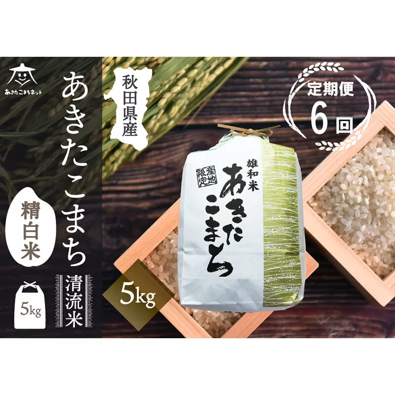 《定期便6ヶ月》あきたこまち 清流米 5kg【白米】 秋田市雄和産 [秋田県産 あきたこまち お米 精米 定期便 5kg 5キロ] 秋田県秋田市