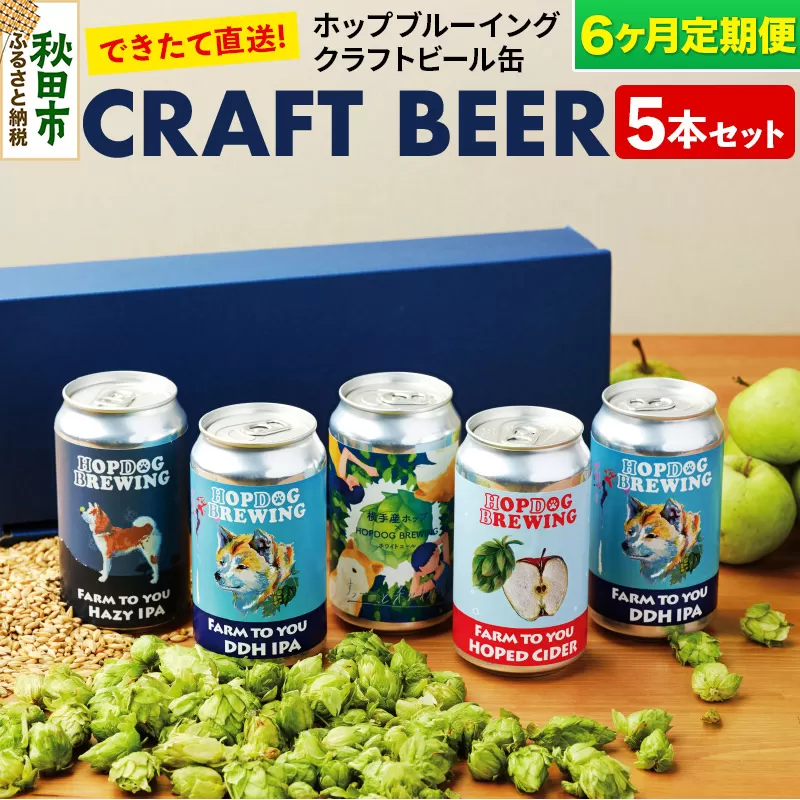 《定期便6ヶ月》クラフトビール缶 毎月5本セット【ホップドッグブルーイング】