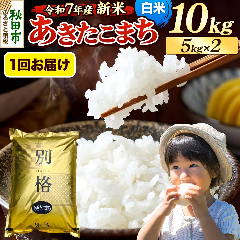 《令和7年産 新米》 米 あきたこまち 10kg(5kg×2袋) 【白米】 秋田県産 秋田県秋田市
