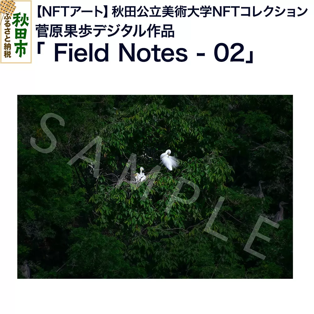 【NFTアート】《秋田公立美術大学NFTコレクション》鳥類を対象にフィールドワークや撮影を続ける菅原果歩デジタル作品「Field Notes - 02」