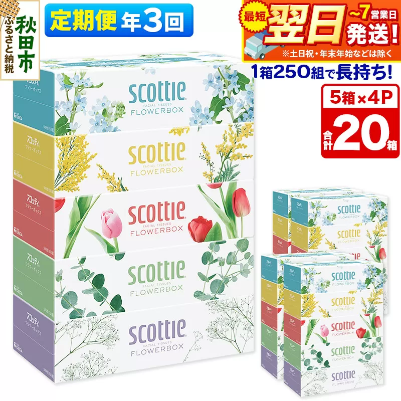 《4ヶ月ごとに3回お届け》定期便 ティッシュペーパー スコッティ フラワーボックス250組 20箱(5箱×4パック) ティッシュ 秋田市オリジナル  最短翌日発送 秋田県秋田市