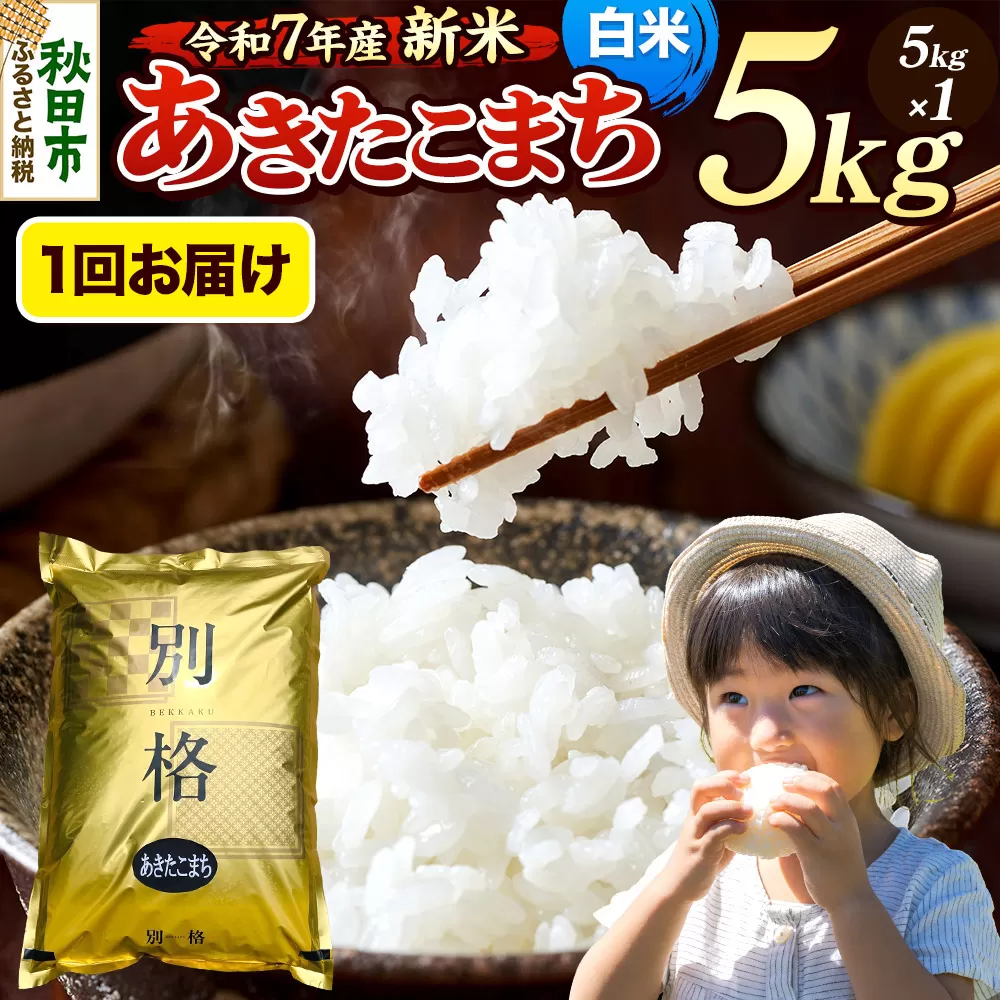 [令和7年産 新米] 米 あきたこまち 5kg [白米] 秋田県産 秋田県秋田市