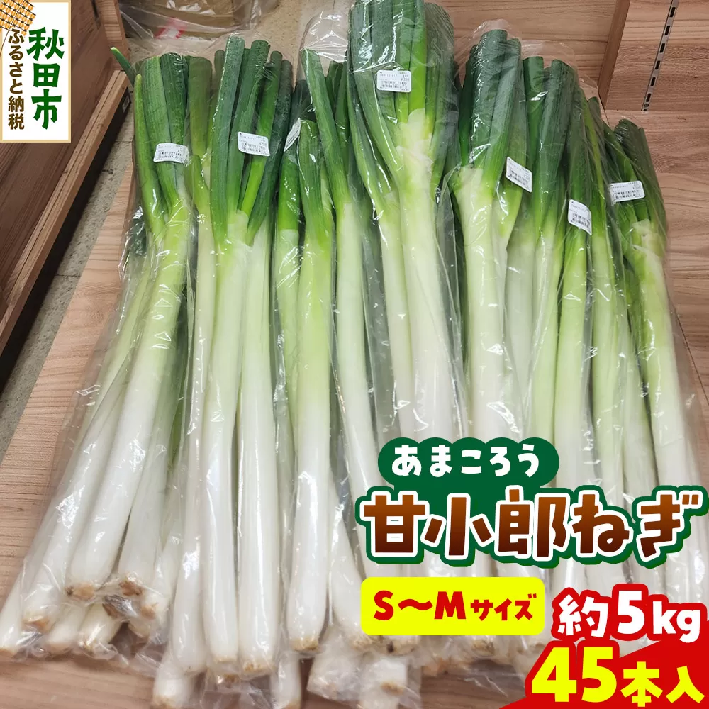 甘小郎ねぎ 約5kg（1箱45本入り）