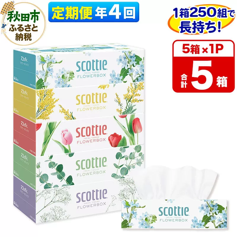 《3ヶ月ごとに4回お届け》定期便 ティッシュペーパー スコッティ ティシュー フラワーボックス 250組 5箱パック×1パック 秋田市オリジナル [ティッシュ ボックスティッシュ] 秋田県秋田市