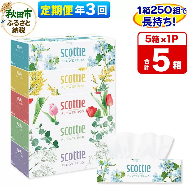 《4ヶ月ごとに3回お届け》定期便 ティッシュペーパー スコッティ ティシュー フラワーボックス 250組 5箱パック×1パック 秋田市オリジナル [ティッシュ ボックスティッシュ] 秋田県秋田市