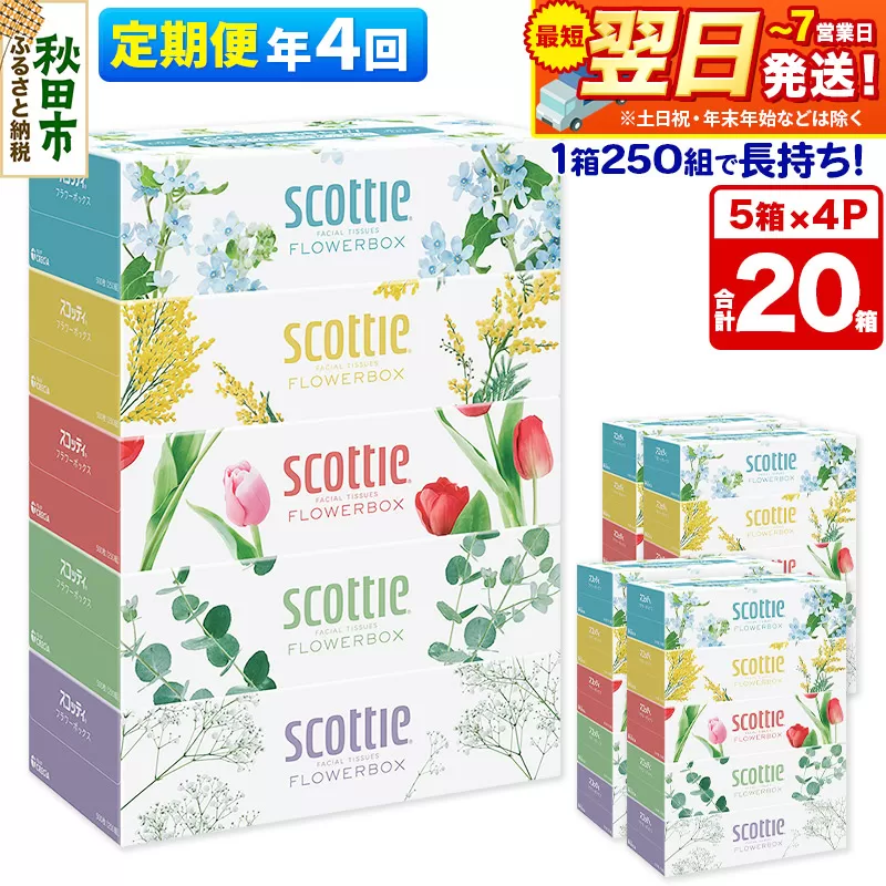《3ヶ月ごとに4回お届け》定期便 ティッシュペーパー スコッティ フラワーボックス250組 20箱(5箱×4パック) ティッシュ 秋田市オリジナル  最短翌日発送 秋田県秋田市