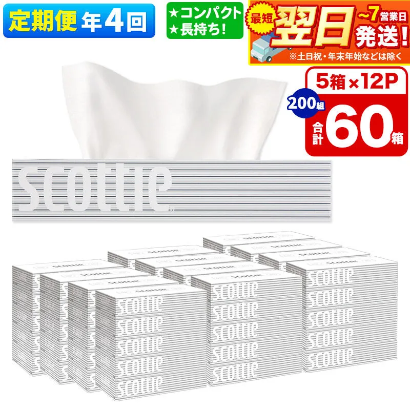 《3ヶ月ごとに4回お届け》定期便 ティッシュペーパー スコッティ 200組 60箱(5箱×12パック) ティッシュ 最短翌日発送 [ティッシュ ボックスティッシュ スコッティ(SCOTTIE) スコッティティシュー 定期便] 秋田県秋田市