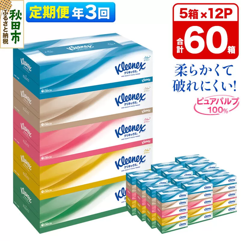 《4ヶ月ごとに3回お届け》定期便 ティッシュ クリネックス ティシュー 5箱×12パック [ティッシュ ボックスティッシュ 定期便] 秋田県秋田市
