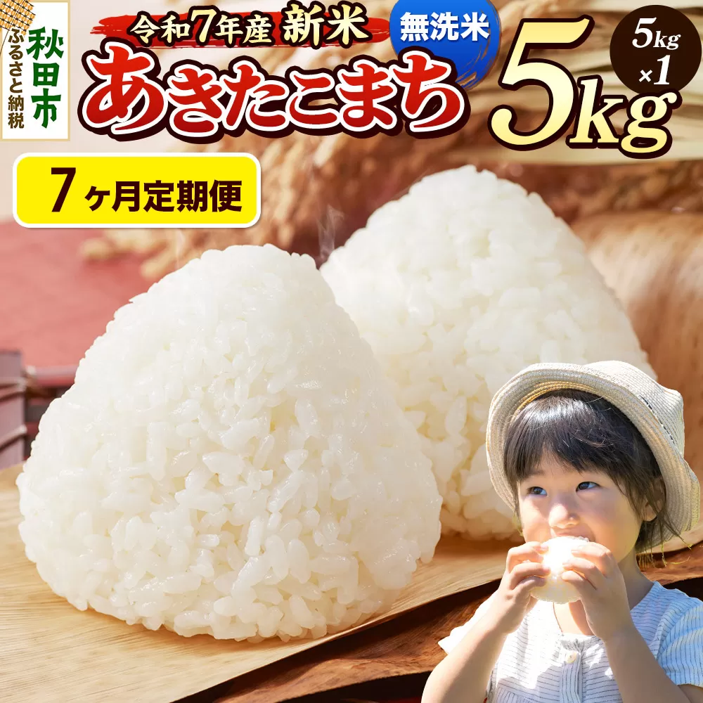 《令和7年産 新米先行受付》《定期便7ヶ月》 米 あきたこまち 5kg 【無洗米】 秋田県産