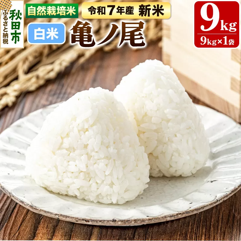 〈先行予約 令和7年産 新米〉自然栽培米「亀ノ尾」精米 9kg 天日干し 農薬・肥料不使用 