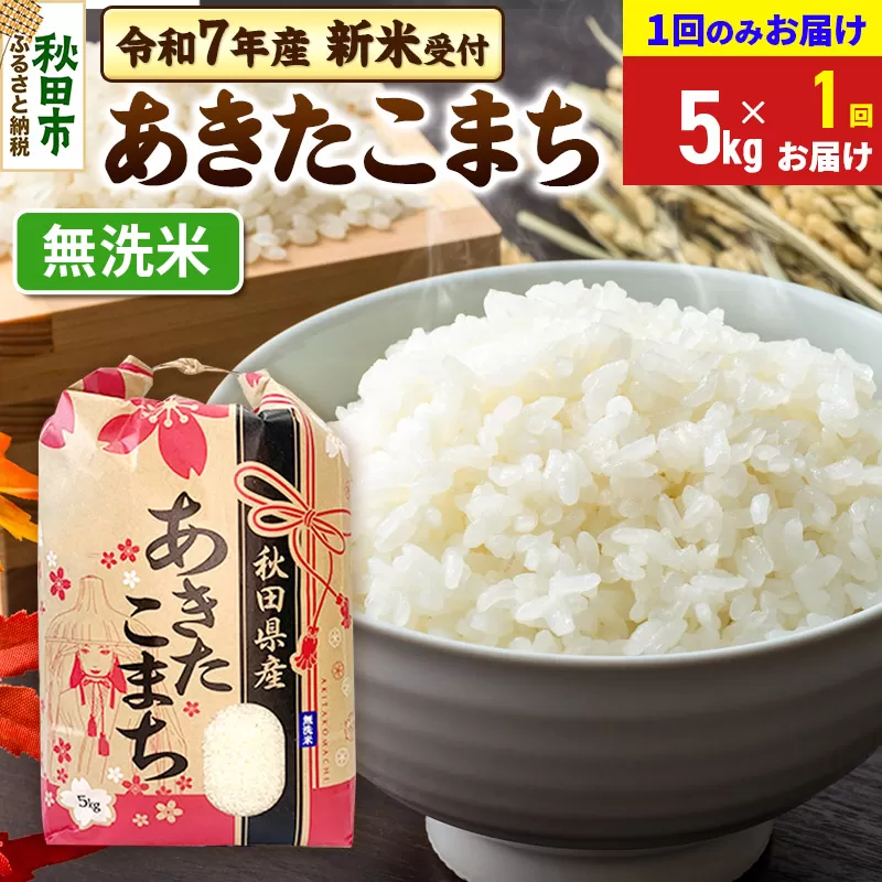 《令和7年産 新米受付》あきたこまち 5kg【1回のみお届け】【無洗米】秋田県産 こまちライン
