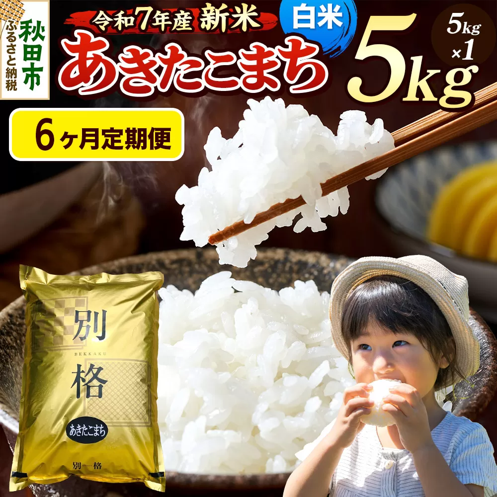 《令和7年産 新米》《定期便6ヶ月》 米 あきたこまち 5kg 【白米】 秋田県産 秋田県秋田市