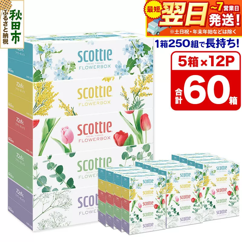 ティッシュペーパー スコッティ フラワーボックス250組 60箱(5箱×12パック) ティッシュ 日用品  最短翌日発送 [ティッシュ ボックスティッシュ] 秋田県秋田市