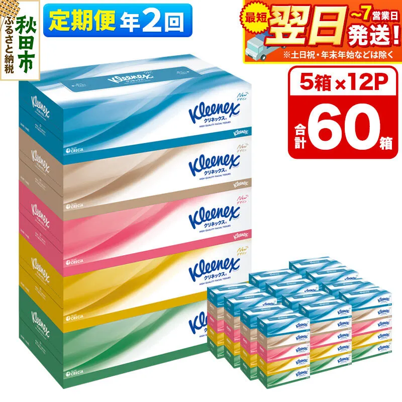 《6ヶ月ごとに2回お届け》定期便 ティッシュ クリネックス ティシュー 5箱×12パック 最短翌日発送 [クリネックス ティッシュ ボックスティッシュ 日本製紙クレシア 定期便] 秋田県秋田市