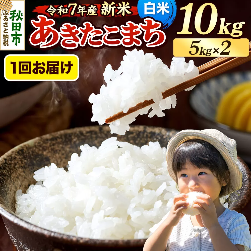 《令和7年産 新米先行受付》 米 あきたこまち 10kg（5kg×2袋） 【白米】 秋田県産