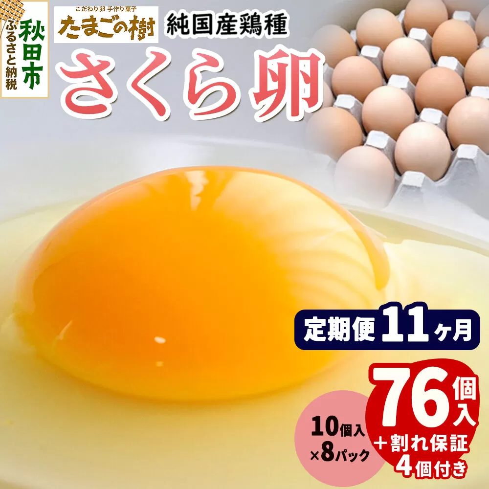 《定期便11ヶ月》 たまごの樹 純国産鶏種 卵『さくら』76個+割れ保証4個付き（10個入×8パック） [たまご タマゴ 玉子 鶏卵 まとめ買い オムレツ 卵かけご飯 朝食 料理 美味しい 瀧田養鶏場] 秋田県秋田市
