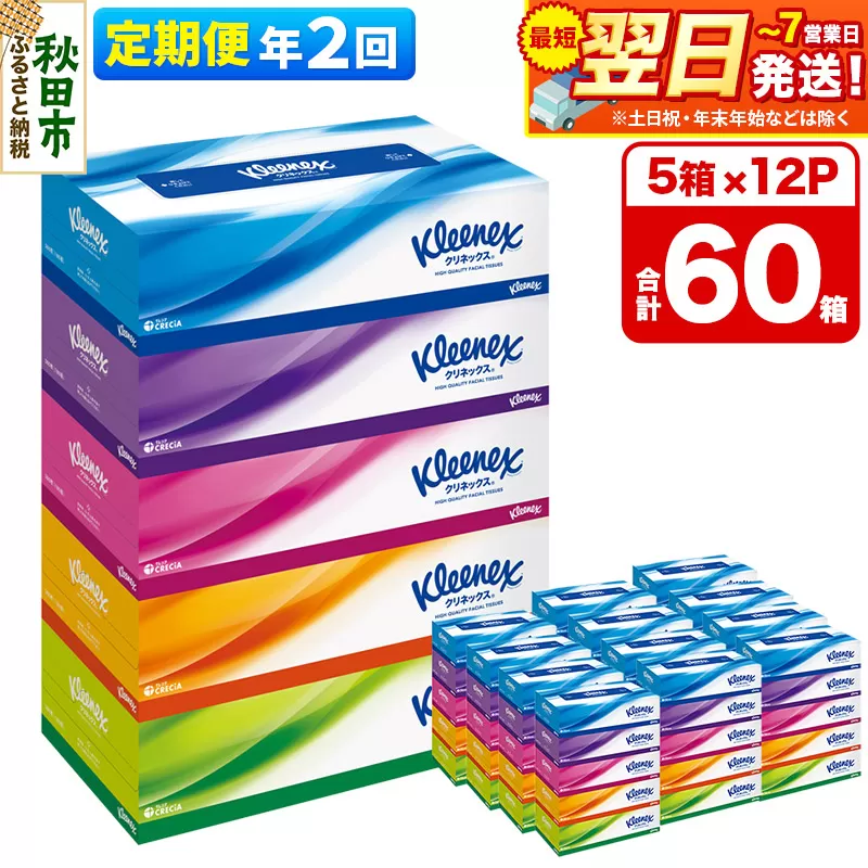 [6ヶ月ごとに2回お届け]定期便 ティッシュ クリネックス ティシュー 5箱×12パック 最短翌日発送 秋田県秋田市