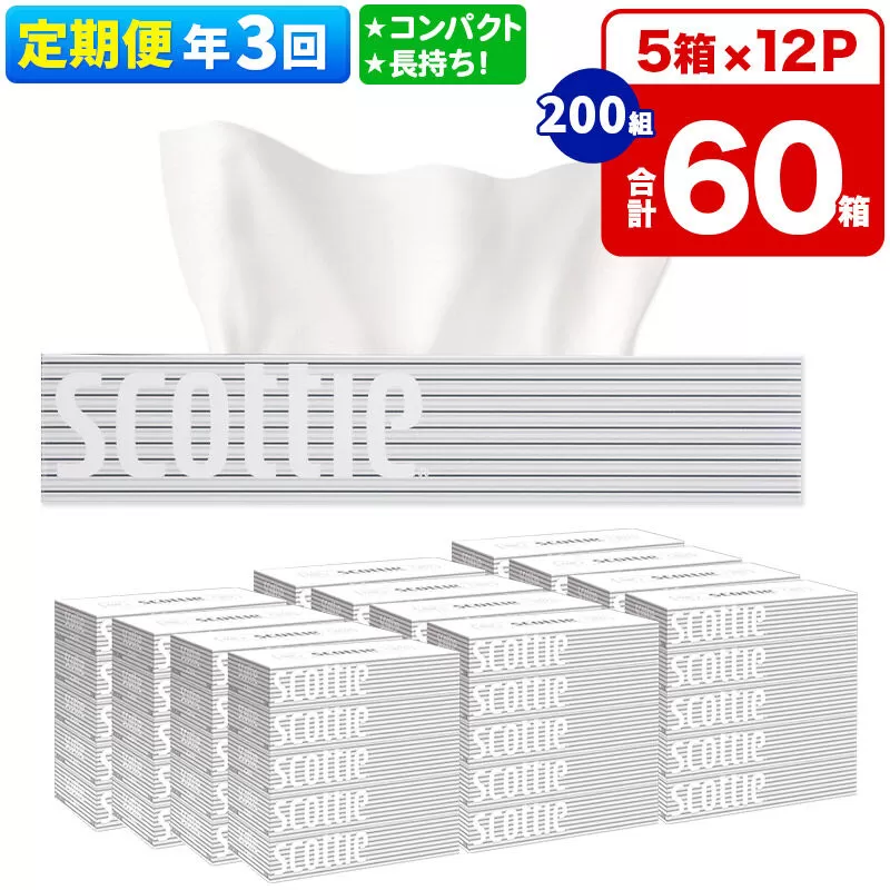《4ヶ月ごとに3回お届け》定期便 ティッシュペーパー スコッティ 200組 60箱(5箱×12パック) ティッシュ [ティッシュ ボックスティッシュ 定期便] 秋田県秋田市