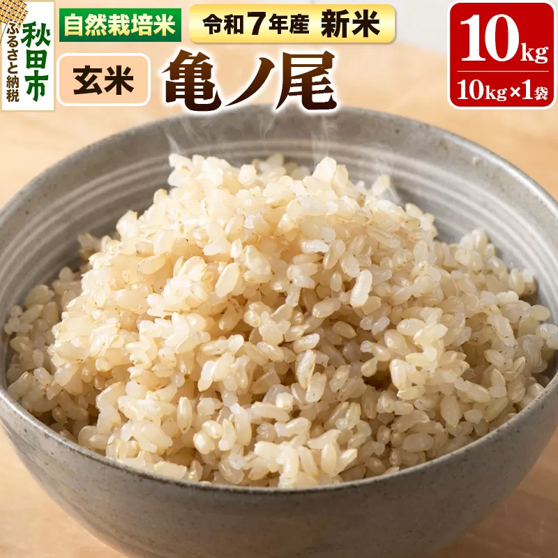〈先行予約 令和7年産 新米〉自然栽培米「亀ノ尾」玄米10kg 天日干し 農薬・肥料不使用 