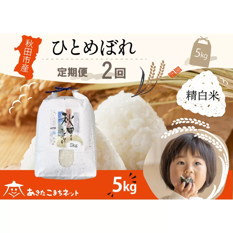 《定期便2ヶ月》ひとめぼれ 5kg 【白米】 秋田市産 秋田県秋田市