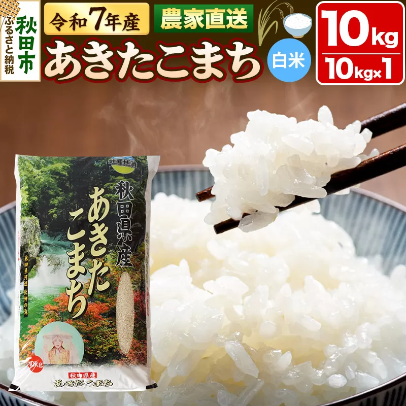 米 あきたこまち 10kg 令和7年産 新米 白米 田口商店 農家直送 秋田県産 秋田県秋田市