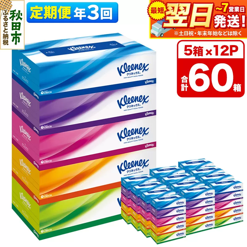 《4ヶ月ごとに3回お届け》定期便 ティッシュ クリネックス ティシュー 5箱×12パック 最短翌日発送 秋田県秋田市