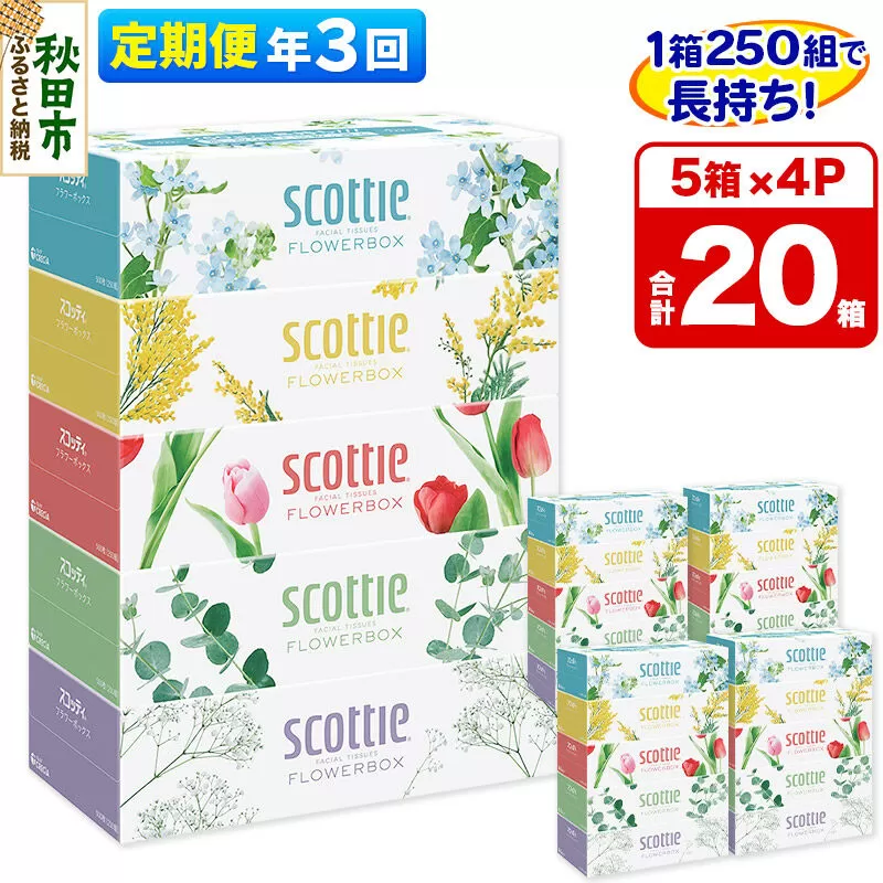 《4ヶ月ごとに3回お届け》定期便 ティッシュペーパー スコッティ フラワーボックス250組 20箱(5箱×4パック) ティッシュ 秋田市オリジナル 新生活 [ティッシュ ボックスティッシュ 定期便 新生活] 秋田県秋田市