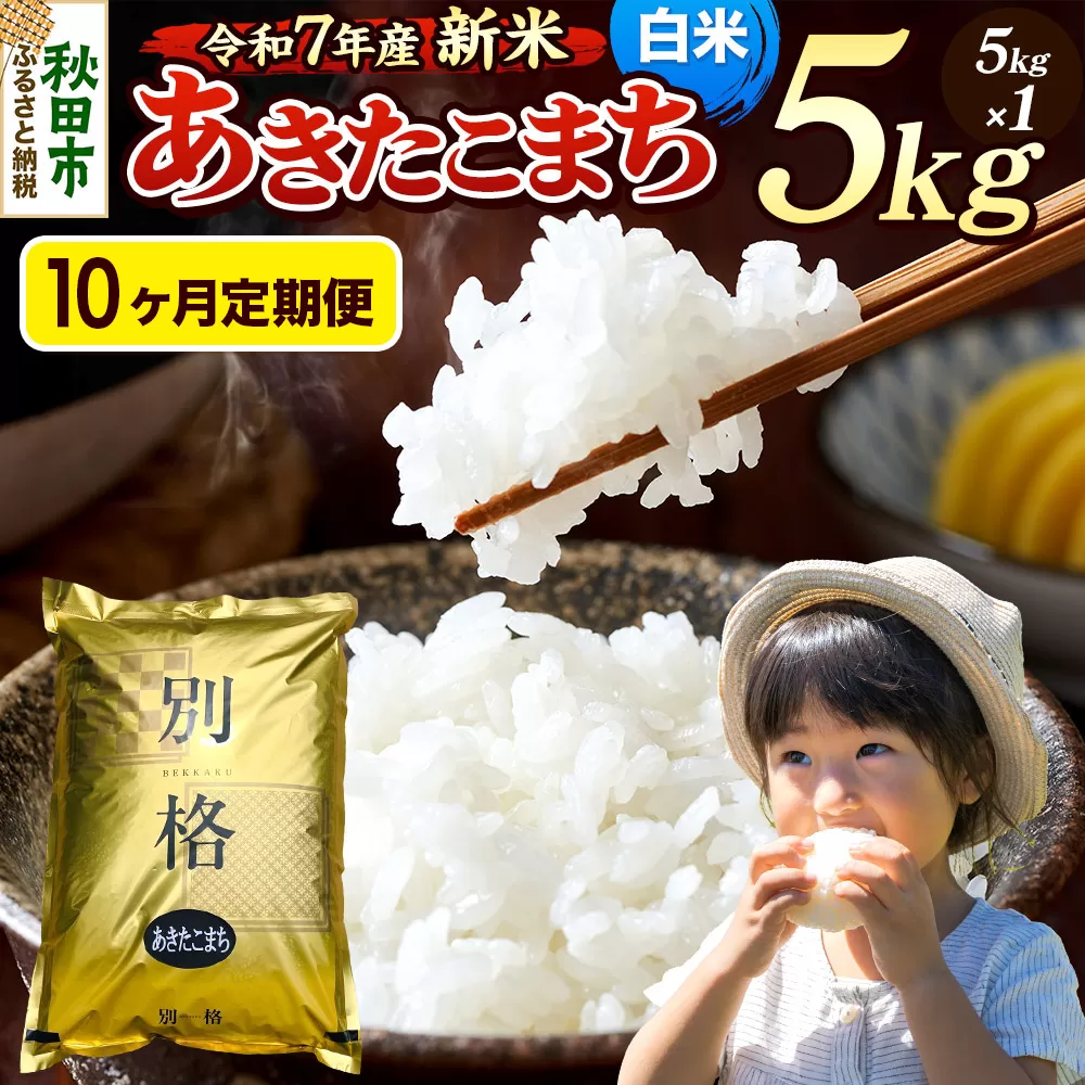 《令和7年産 新米》《定期便10ヶ月》 米 あきたこまち 5kg 【白米】 秋田県産 秋田県秋田市