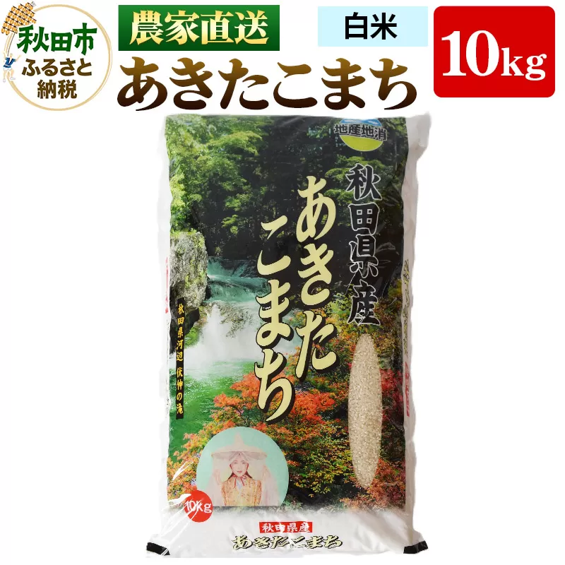 農家直送 あきたこまち 10kg 令和6年産 米 白米 田口商店