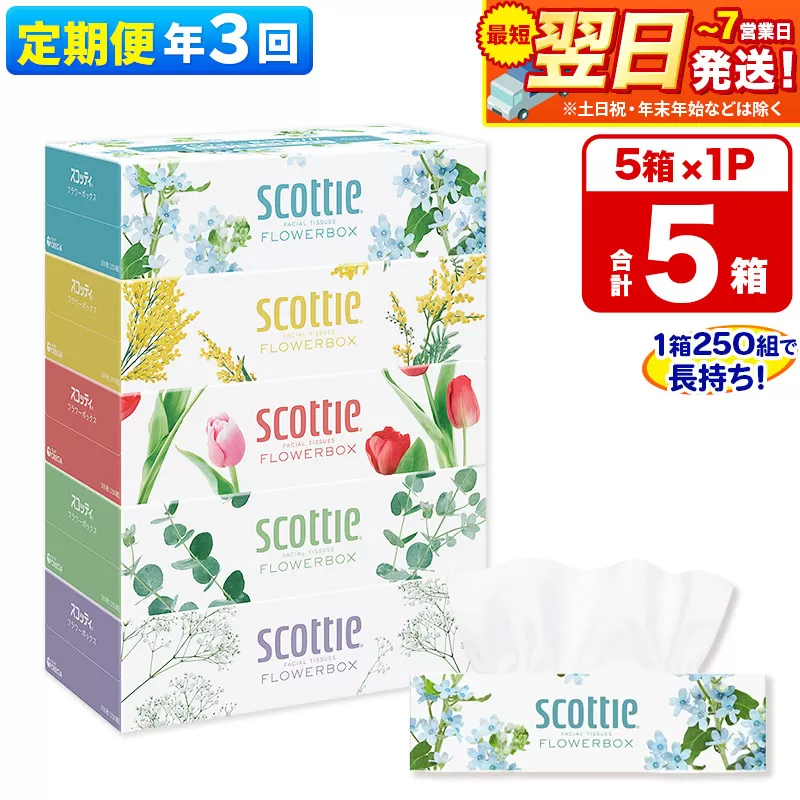 《4ヶ月ごとに3回お届け》定期便  ティッシュペーパー スコッティ ティシュー フラワーボックス 250組 5箱パック×1パック 秋田市オリジナル 最短翌日発送 秋田県秋田市