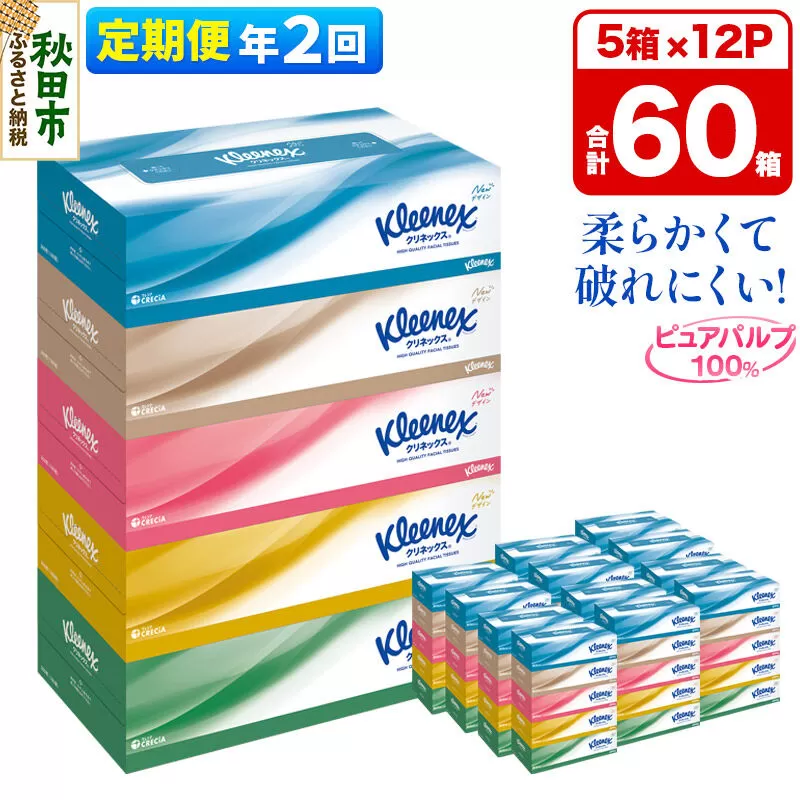 《6ヶ月ごとに2回お届け》定期便 ティッシュ クリネックス ティシュー 5箱×12パック [ティッシュ ボックスティッシュ 定期便] 秋田県秋田市