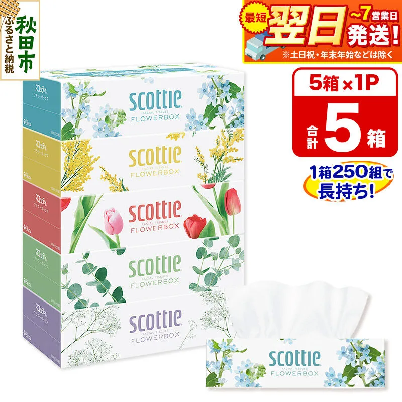 スコッティ ティッシュペーパー フラワーボックス 5箱×1パック 秋田市オリジナル 最短翌日発送 [ティッシュ ボックスティッシュ] 秋田県秋田市