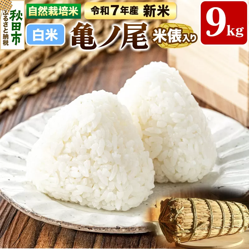 〈先行予約 令和7年産 新米〉自然栽培米「亀ノ尾」精米 9kg 米俵入り 天日干し 農薬・肥料不使用 