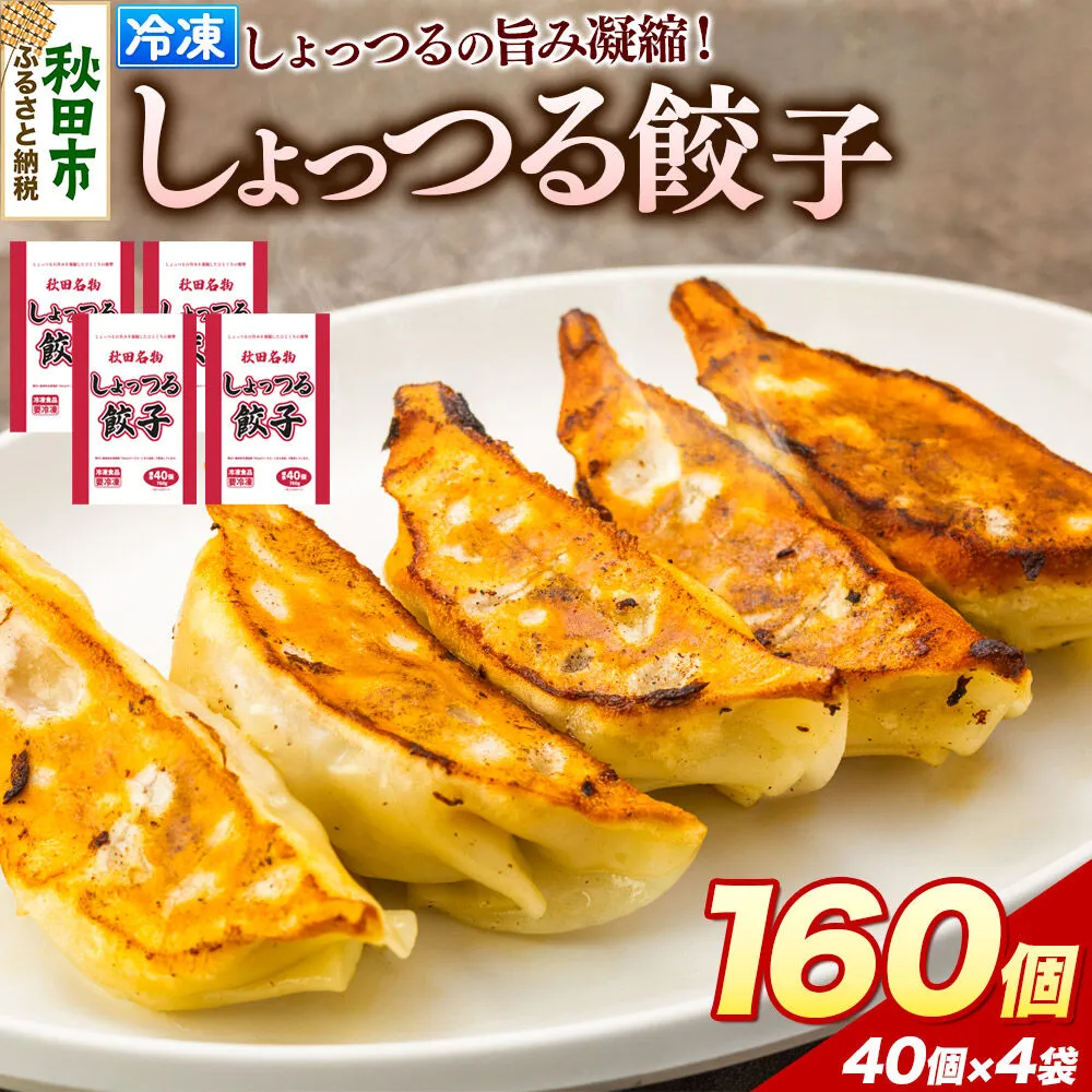 秋田名物 しょっつる餃子 40個入×4袋 秋田のしょっつるを使用 秋田県 秋田市 冷凍発送 生ぎょうざ [ぎょうざ チルド しょっつる 生餃子] 秋田県秋田市