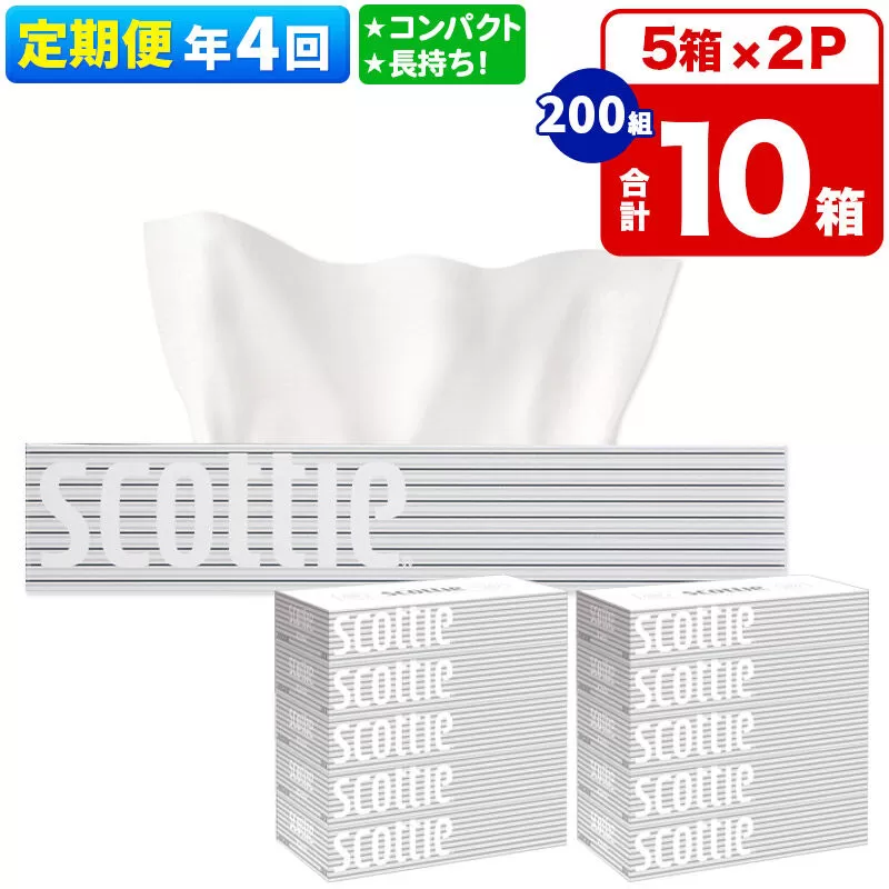 《3ヶ月ごとに4回お届け》定期便 ティッシュペーパー スコッティ 200組 10箱(5箱×2パック) ティッシュ 秋田市オリジナル 新生活 [ティッシュ ボックスティッシュ 定期便 新生活] 秋田県秋田市