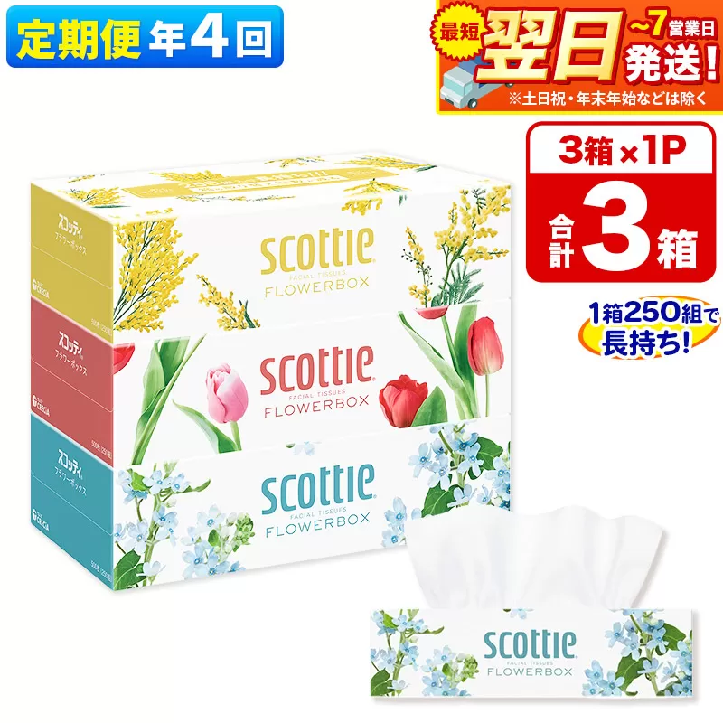 《3ヶ月ごとに4回お届け》定期便  ティッシュペーパー スコッティ ティシュー フラワーボックス 250組 3箱パック×1パック 秋田市オリジナル 最短翌日発送 秋田県秋田市