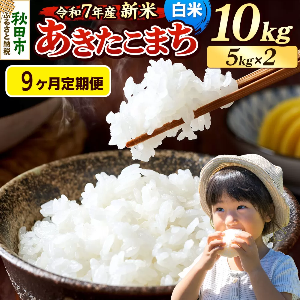 《令和7年産 新米先行受付》《定期便9ヶ月》 米 あきたこまち 10kg（5kg×2袋） 【白米】 秋田県産