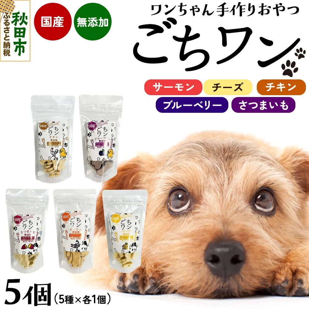 わんちゃん手づくりおやつ「ごちワン」トリーツ5種セット（サーモン／チーズ／ブルーベリー／チキン／さつまいも）国産ヘルシートリーツ ドッグフード 無着色・無香料 [トリーツ 犬 犬のおやつ 国産 ペット用 ペットフード] 秋田県秋田市