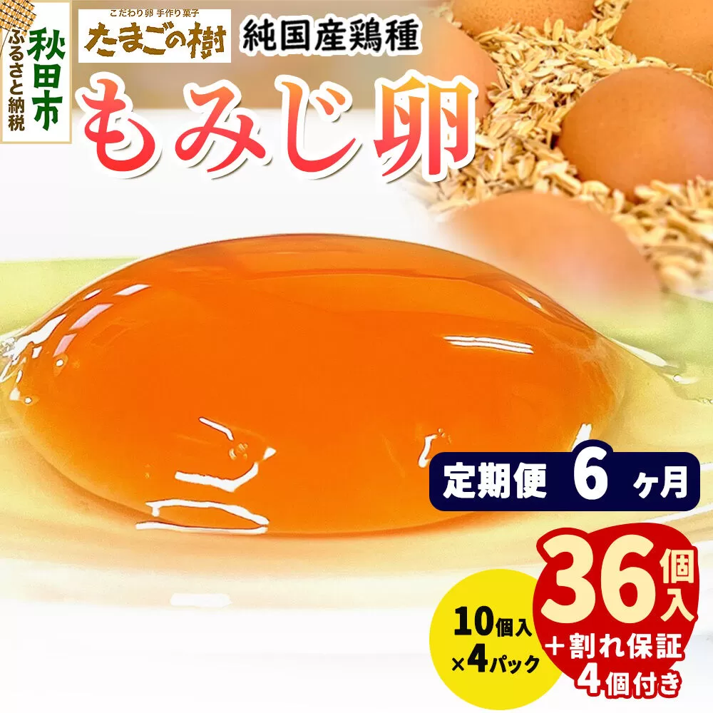 《定期便6ヶ月》 たまごの樹 純国産鶏種 卵『もみじ』36個+割れ保証4個付き（10個入×4パック） [たまご タマゴ 玉子 鶏卵 まとめ買い オムレツ 卵かけご飯 朝食 料理 美味しい 瀧田養鶏場] 秋田県秋田市