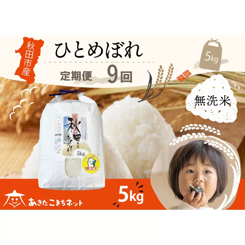 《定期便9ヶ月》ひとめぼれ 5kg 【無洗米】秋田市産 秋田県秋田市