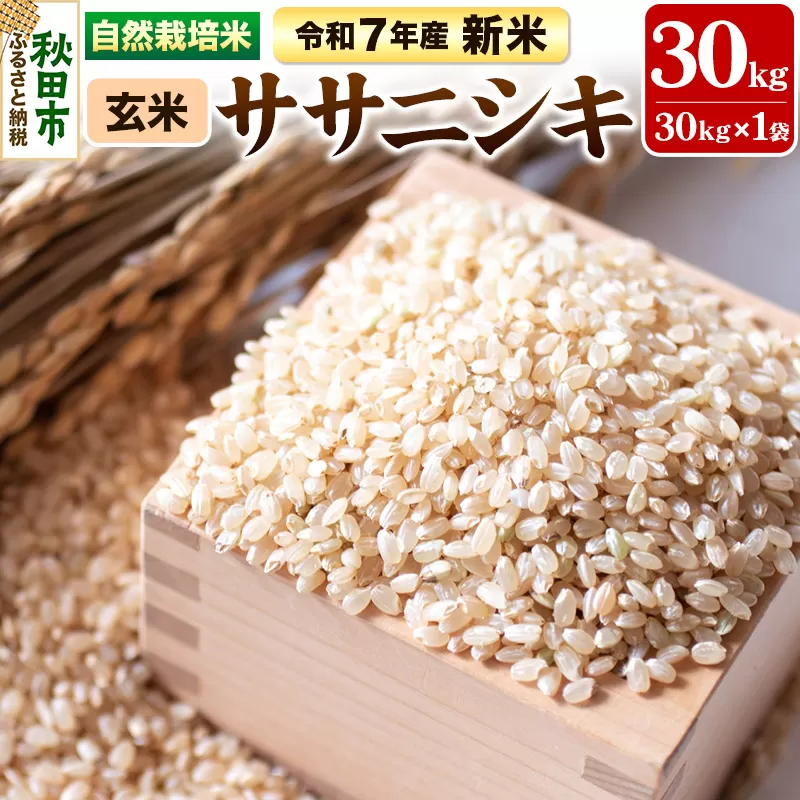 〈先行予約 令和7年産 新米〉自然栽培米「ササニシキ」玄米 30kg 天日干し 農薬・肥料不使用 