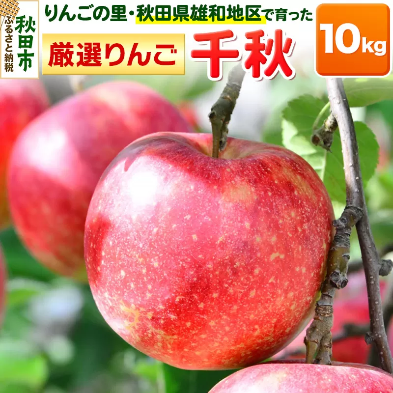 りんごの里・秋田県雄和地区で育った厳選りんご 千秋 10kg 【期間限定】