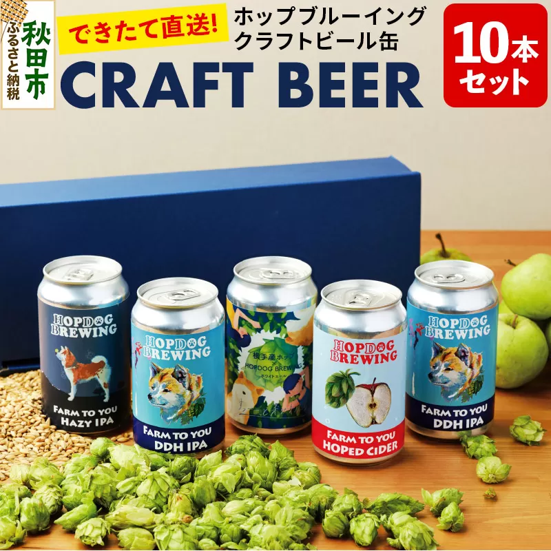 【できたて直送！】クラフトビール缶 10本セット(5本セット×2箱)【ホップドッグブルーイング】