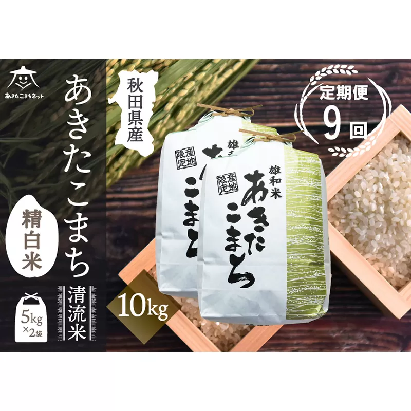 《定期便9ヶ月》あきたこまち 清流米 10kg(5kg×2袋)【白米】 秋田市雄和産 秋田県秋田市