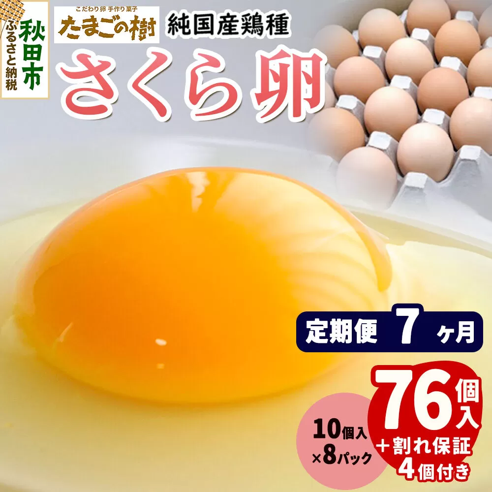 《定期便7ヶ月》 たまごの樹 純国産鶏種 卵『さくら』76個+割れ保証4個付き（10個入×8パック） [たまご タマゴ 玉子 鶏卵 まとめ買い オムレツ 卵かけご飯 朝食 料理 美味しい 瀧田養鶏場] 秋田県秋田市