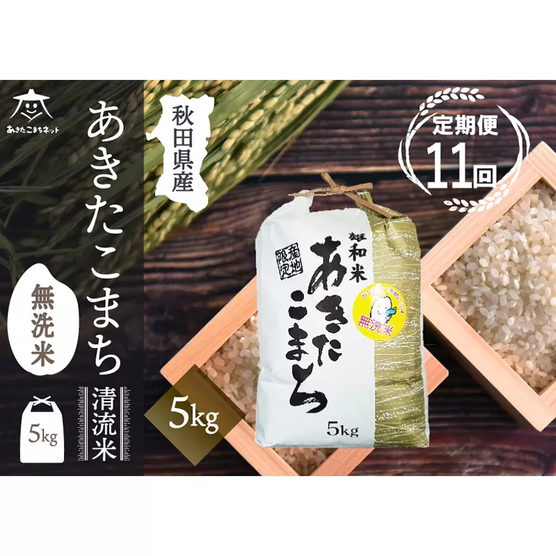 《定期便11ヶ月》あきたこまち 清流米 5kg 【無洗米】秋田市雄和産 秋田県秋田市