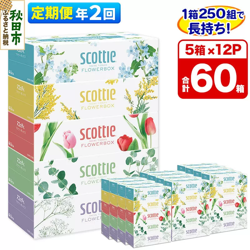 《6ヶ月ごとに2回お届け》定期便 ティッシュペーパー スコッティ フラワーボックス250組 60箱(5箱×12パック) ティッシュ  [ティッシュ ボックスティッシュ 定期便] 秋田県秋田市